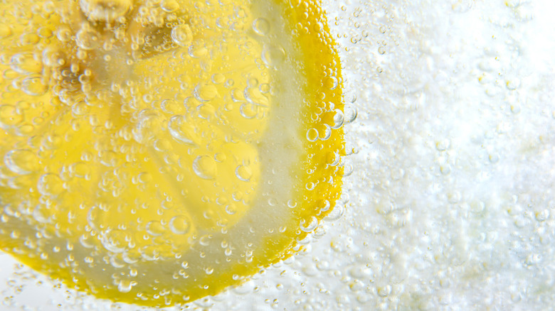 close up of tonic and lemon slice