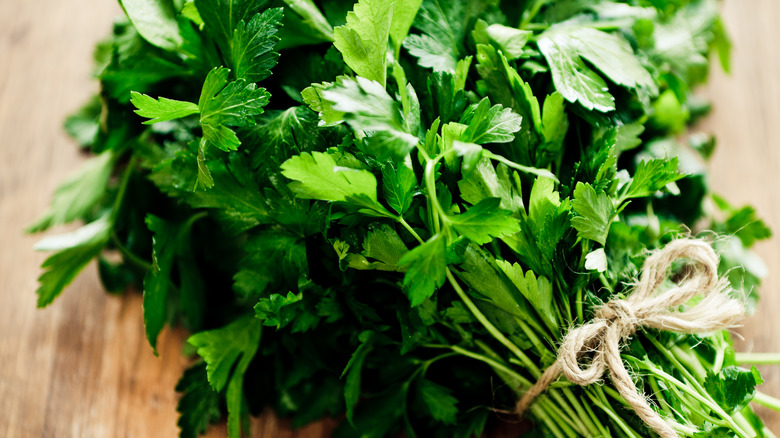 Bunch of Italian parsley