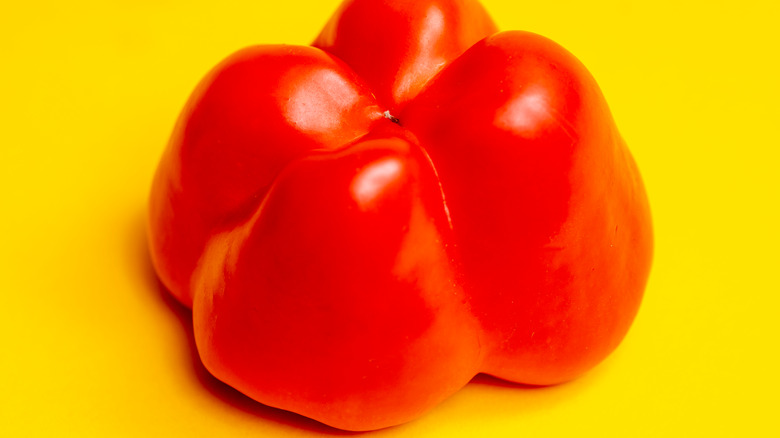 red bell pepper