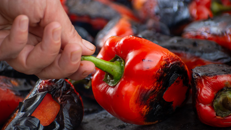 stovetop burnt red bell pepper hand