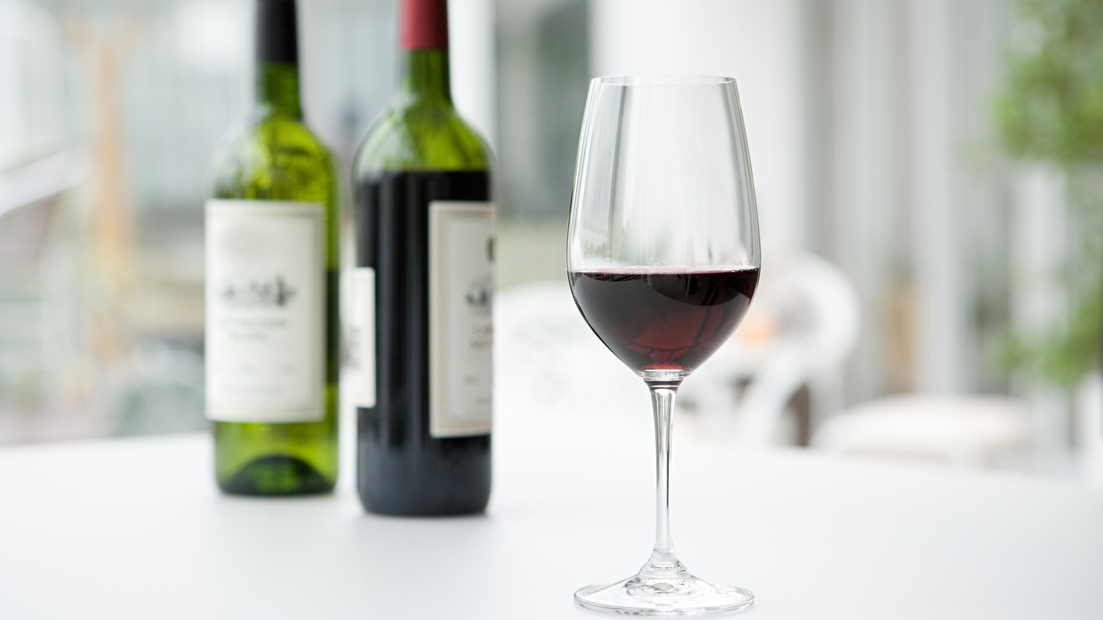 Juliet Modern Red Wine Glass + Reviews