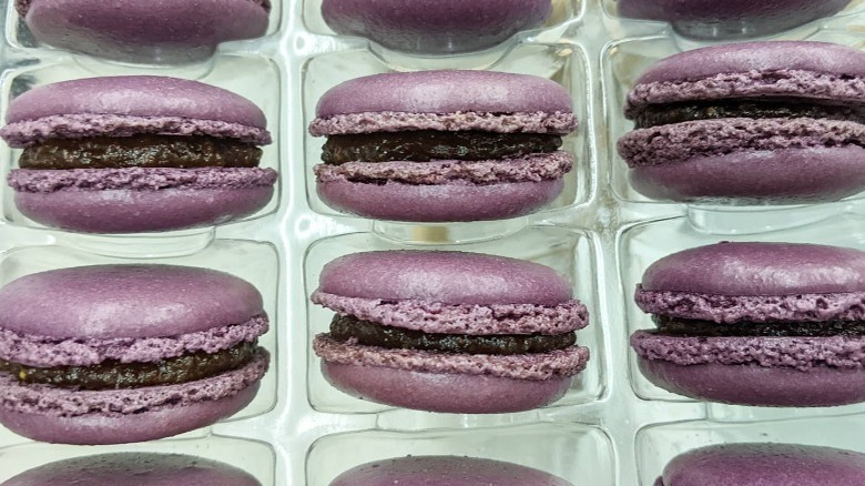 Carton of fig macarons 