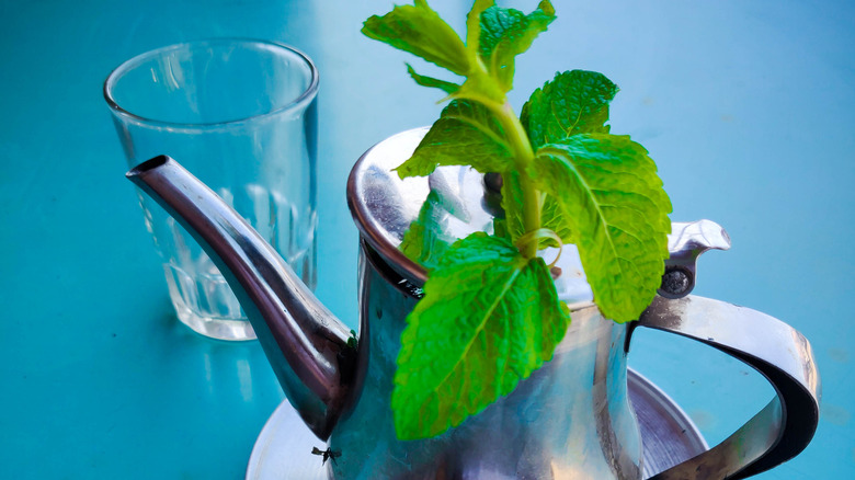 Morrocan mint tea in kettle