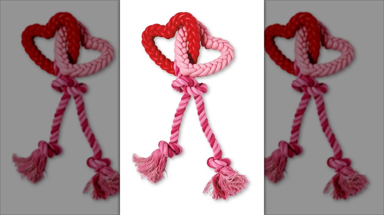 Rope dog chew toy with hearts