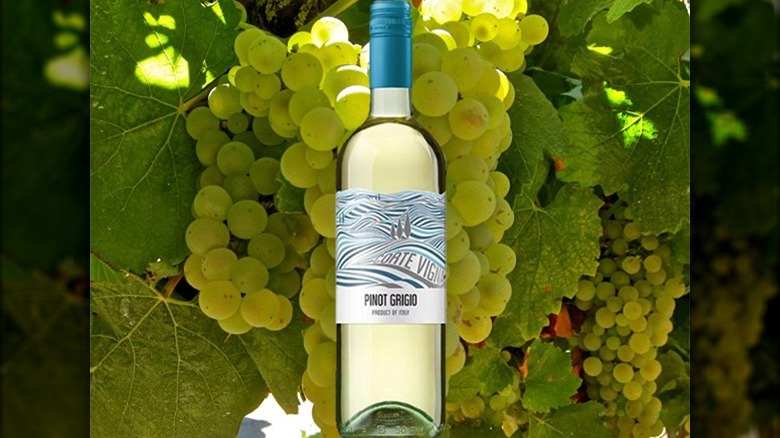 Corte Vigna Pinot Grigio bottle