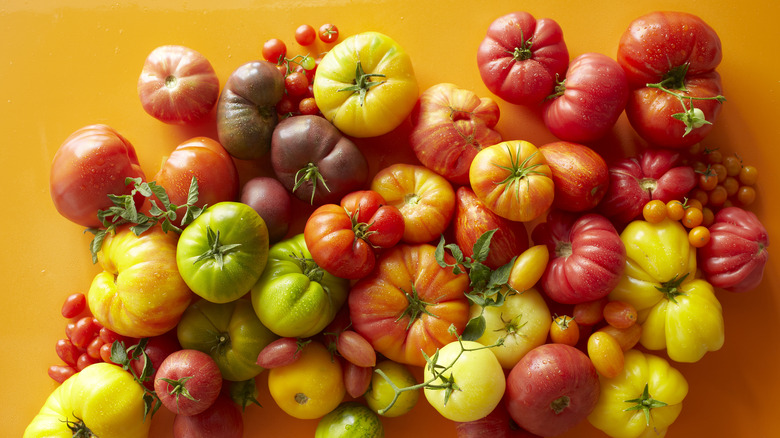 various tomato varieties