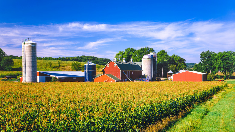 Farm in Iowa