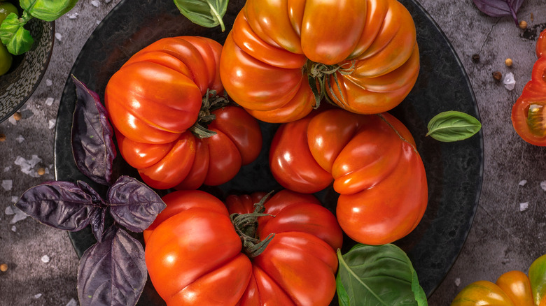 tomatoes and basil on plate