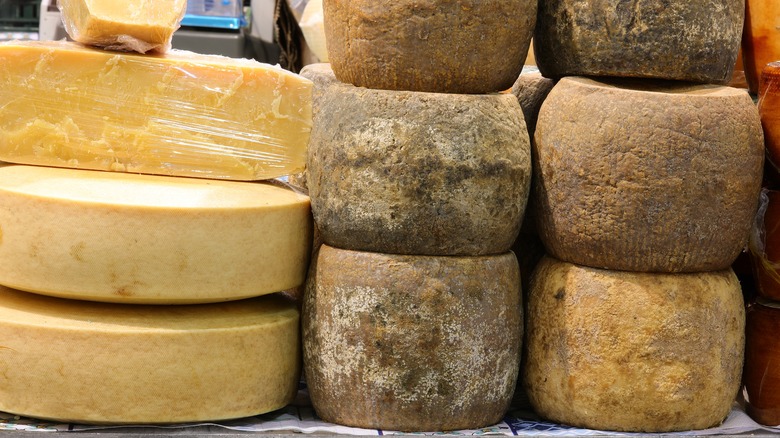 specialty cheeses