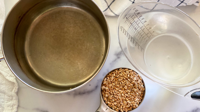 pot for cooking farro