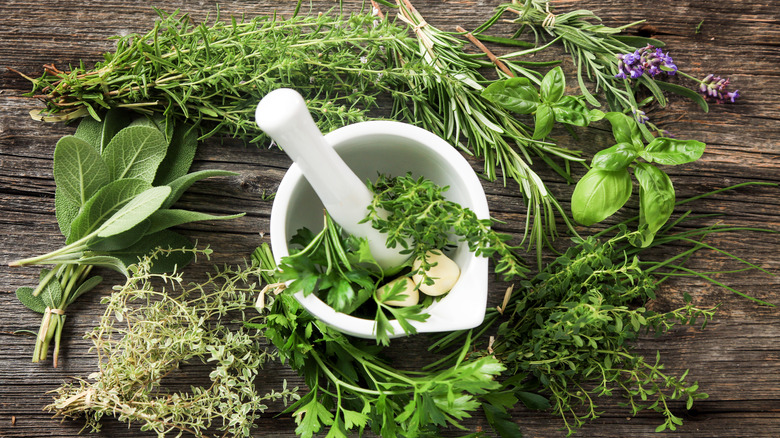 fresh herbs around mortar and pestle