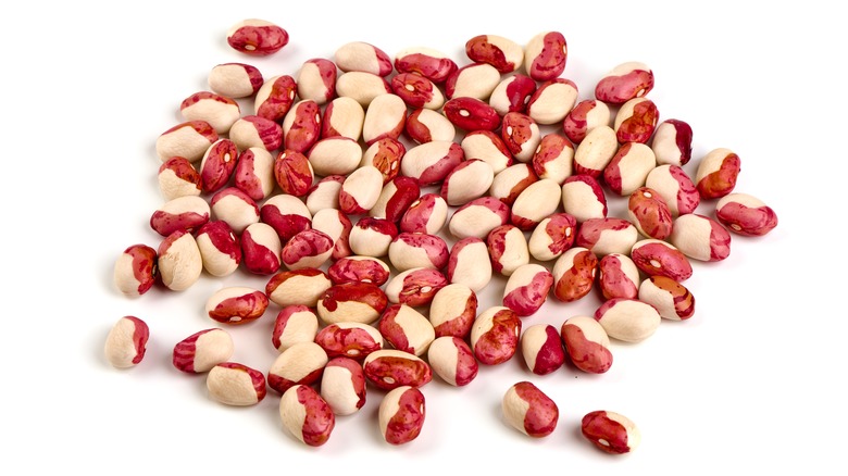 dried anasazi beans