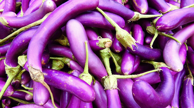 chinese eggplants