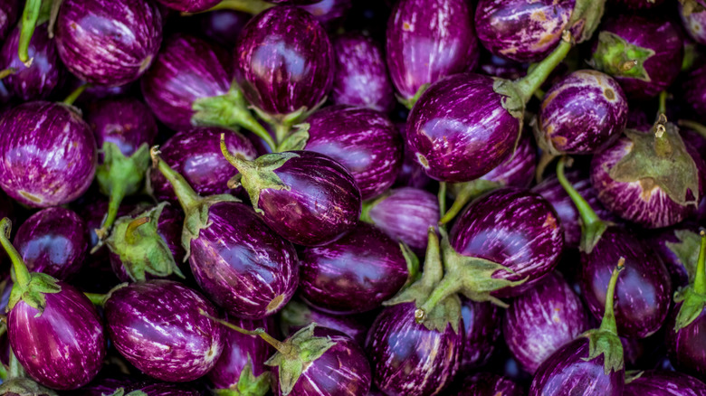 Indian eggplant