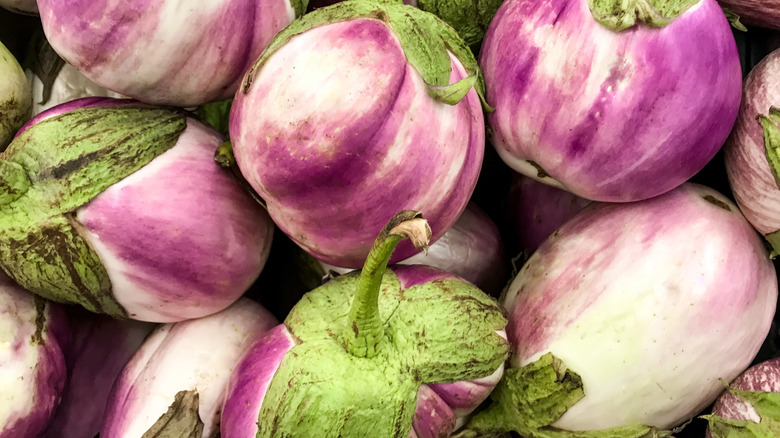 rosa bianca eggplants