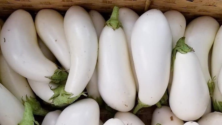 Pile of snowy eggplants