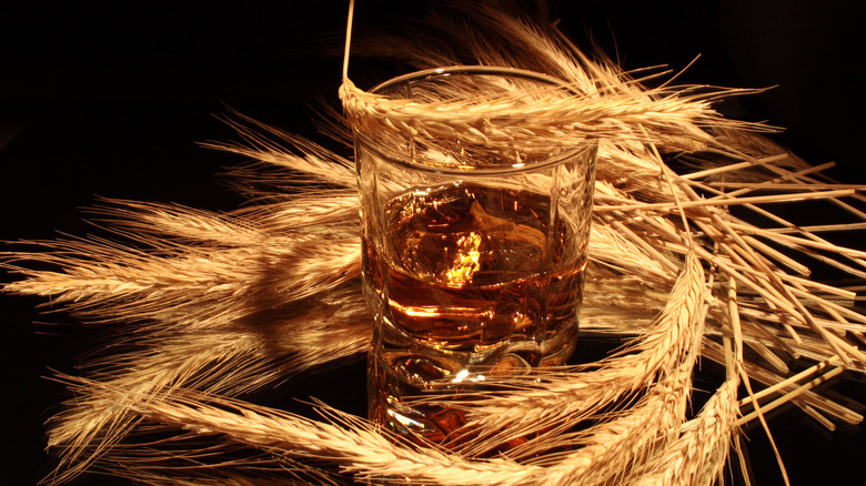 wheat around whiskey glass