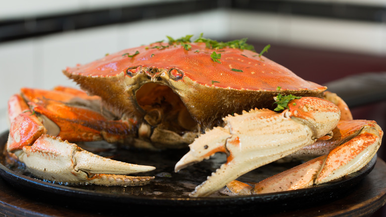 A cooked whole crab