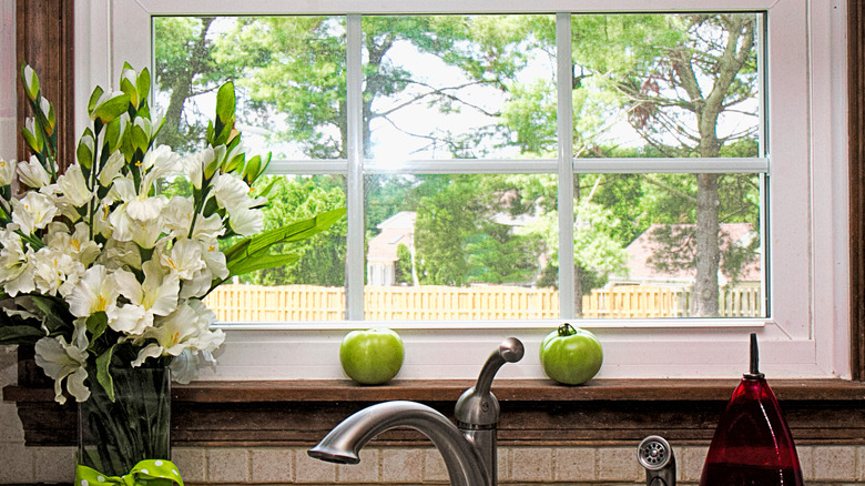 Green tomatoes on windowsills