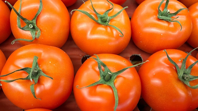 Ripe tomatoes