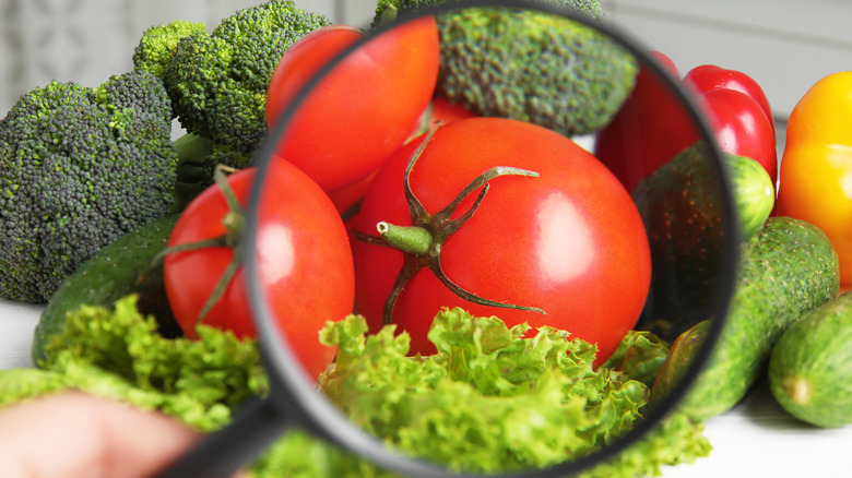 Magnifying glass and tomato