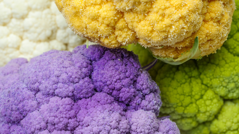 four colors of cauliflower