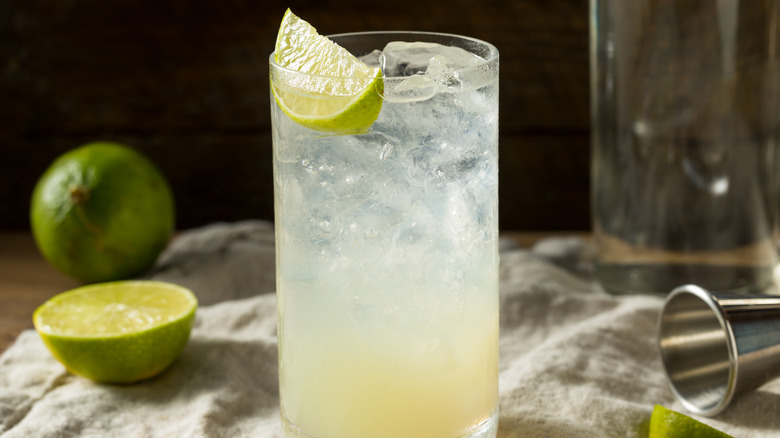 gin rickey with slice of lime