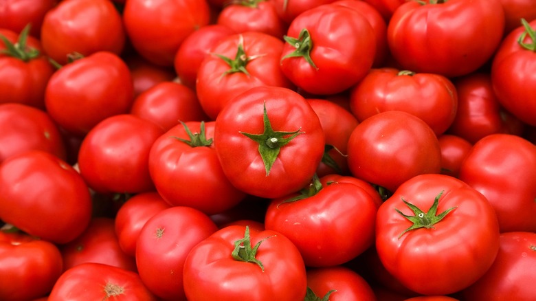 Large pile of tomatoes 