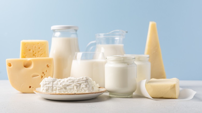 dairy products