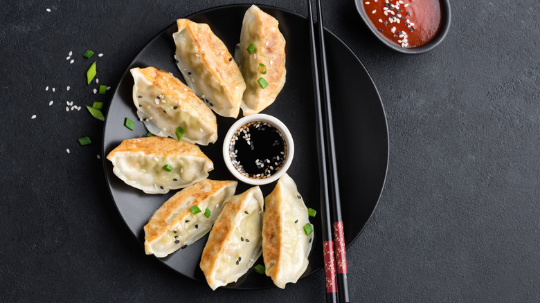 plate of Chicken gyoza with chopstick