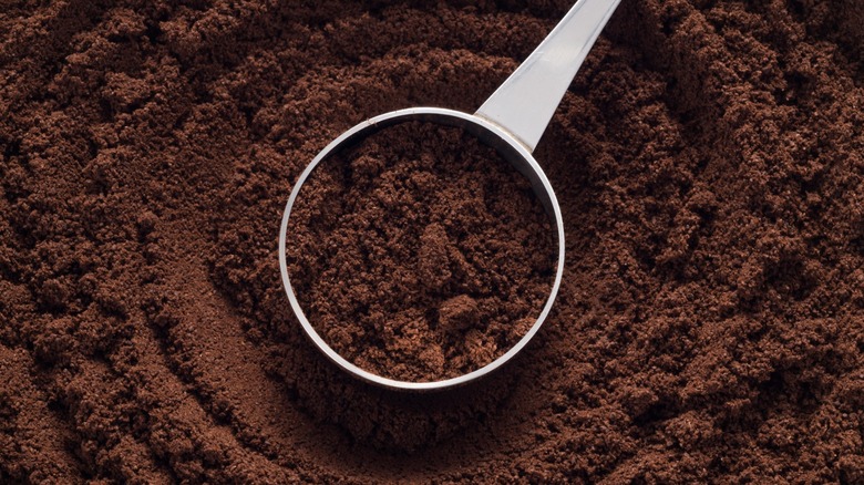 Espresso powder in scoop