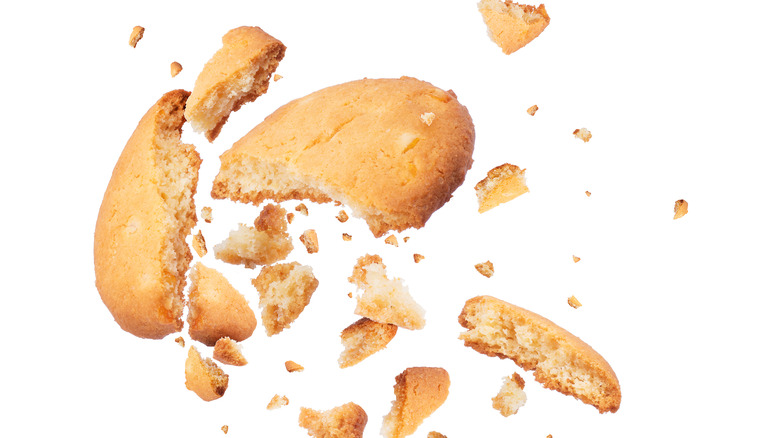 piece of cookie broken up against white background