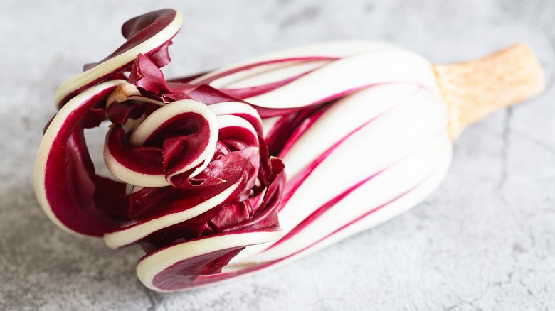 radicchio with curling end