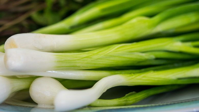 washed scallions closeup