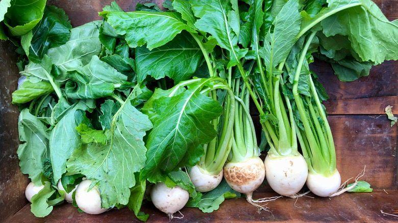 turnips lined up on wood