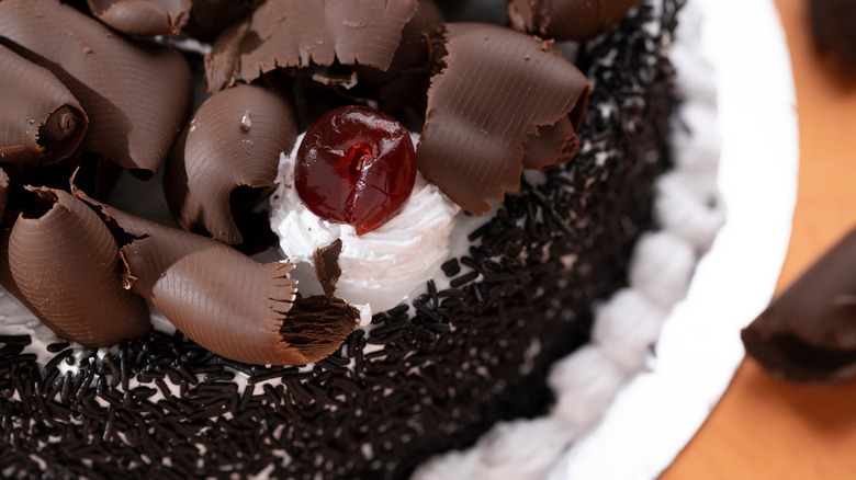 black forest cake close up