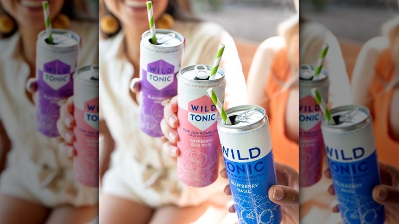 Wild Tonic Hard Kombucha cans