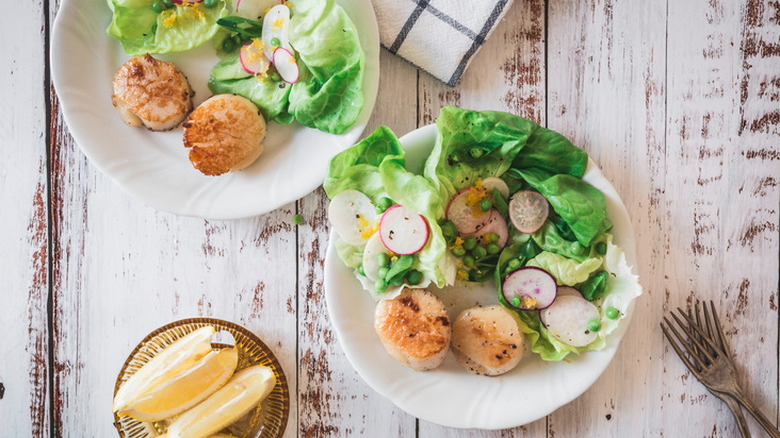 Plates with cooked scallops and salad. 