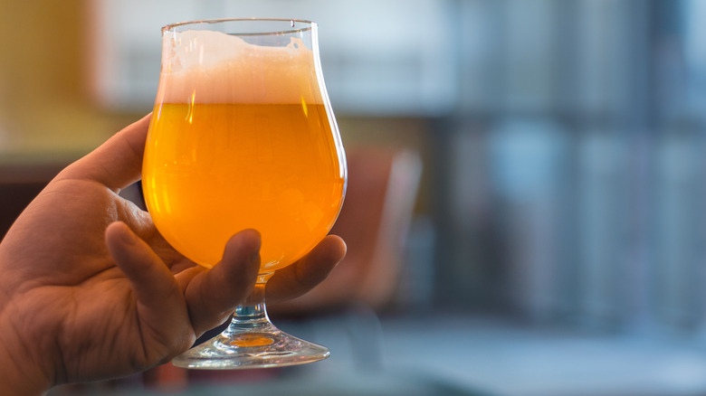 holding glass of gose craft beer 