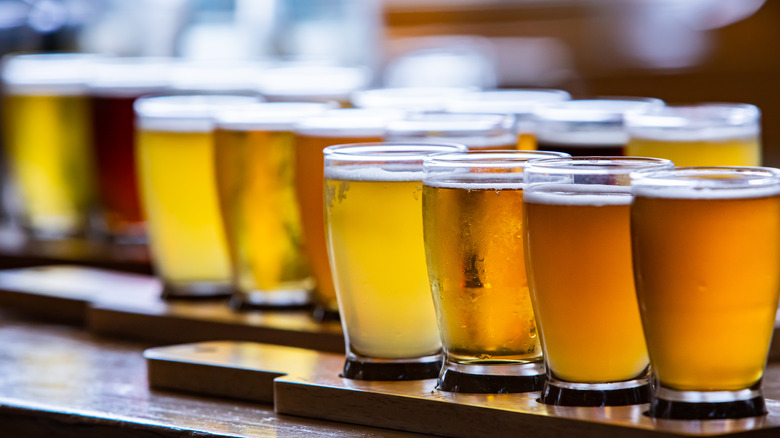 tasting glasses of ales