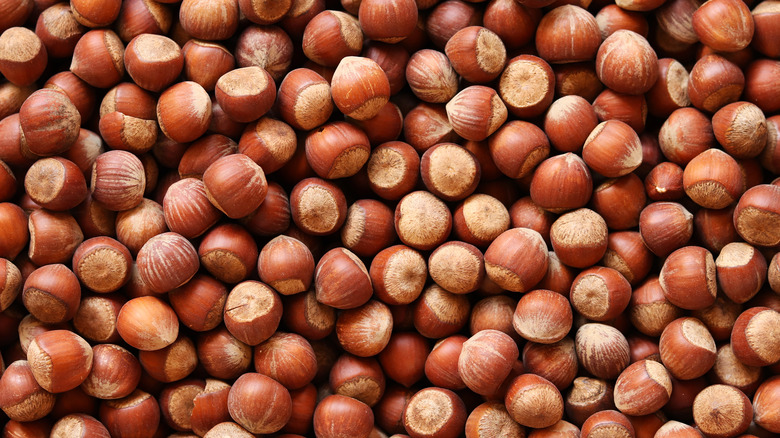 hazelnut