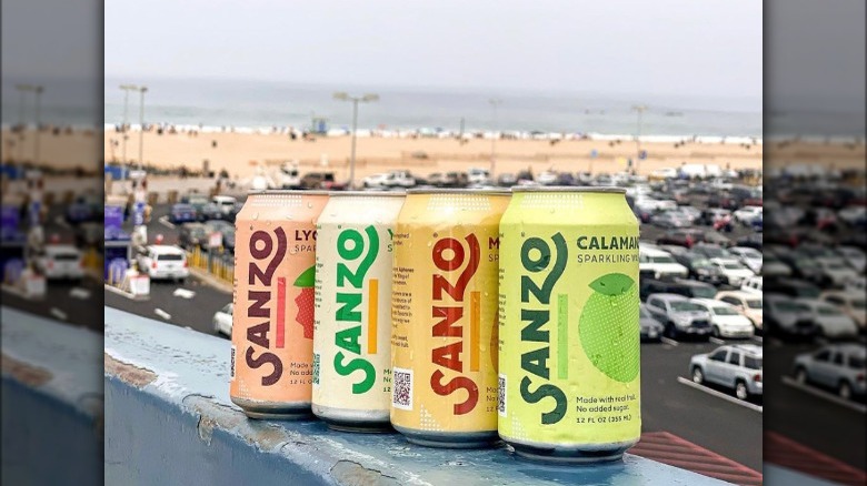 Sanzo sparkling water cans