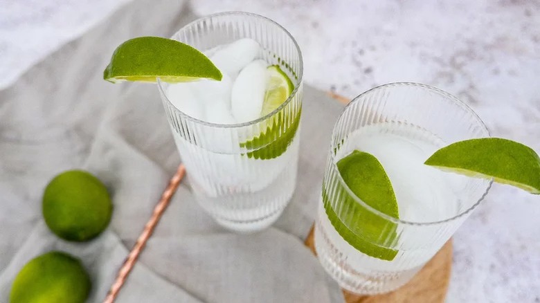 Gin & Tonic cocktail recipe
