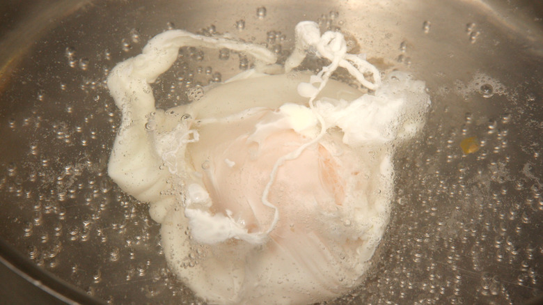 an egg being poached in water