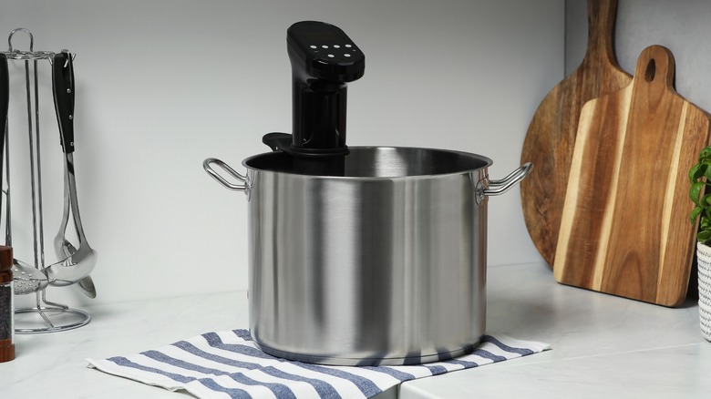 A Sous-Vide device in a pot