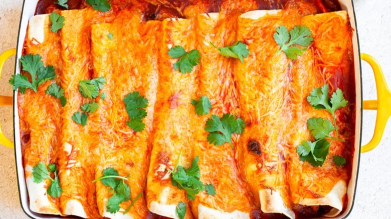 Chicken enchiladas