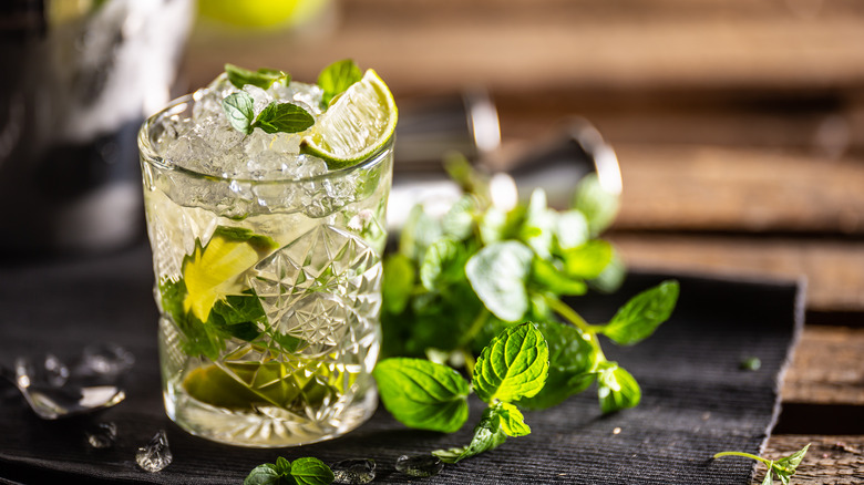 lime and mint water