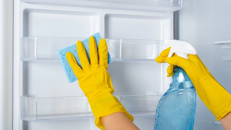 rubber gloves with sponge and spray cleaning fridge