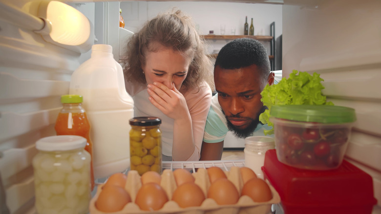 couple bad odor POV inside fridge