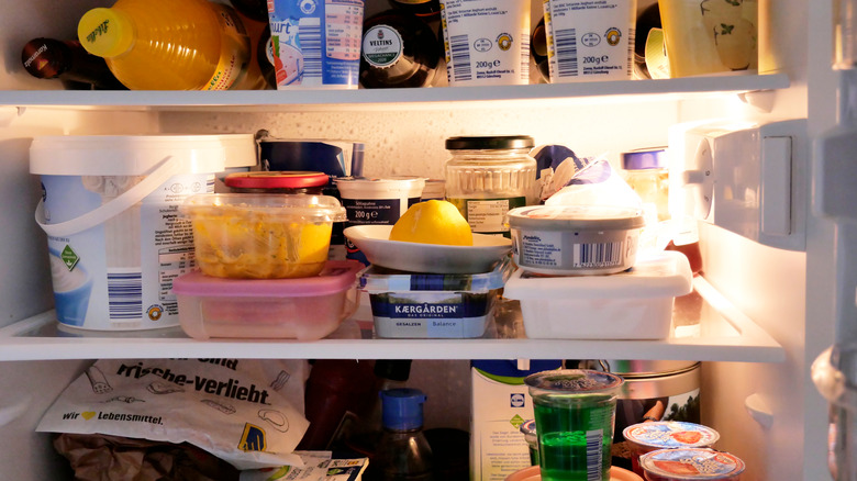 fridge shelves full of food